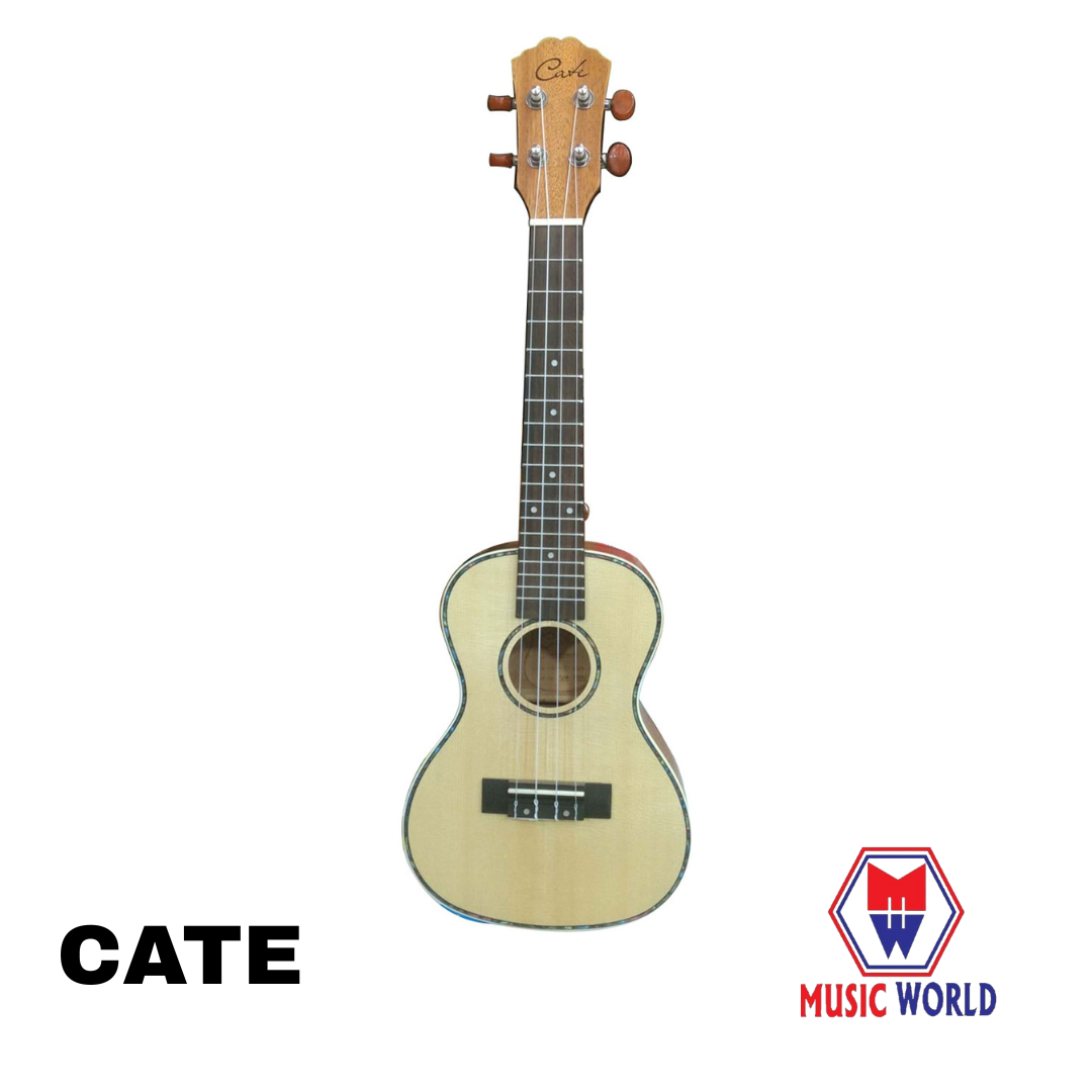 ukulele cate ukulele dhaka concert size